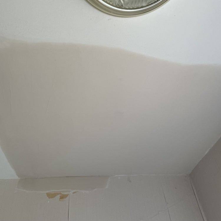 Drywall and Spackle in Selden, NY