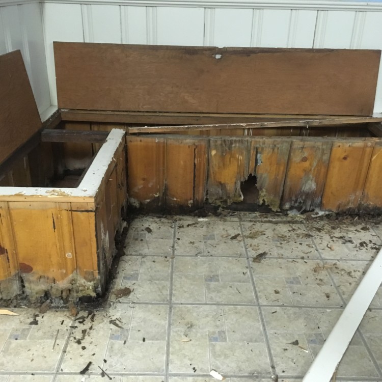 Drywall and Spackle in Selden, NY